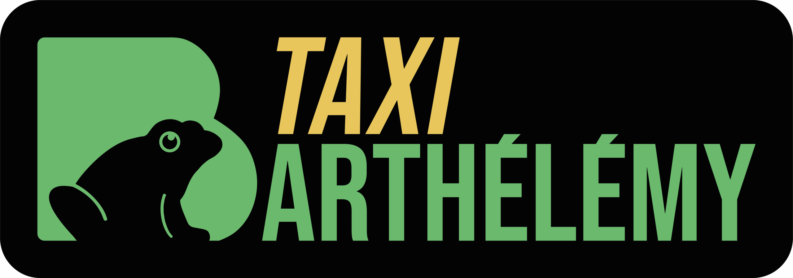 Taxi conventionné avec véhicule 7 places et remorque fermée sur Méjannes-le-Clap